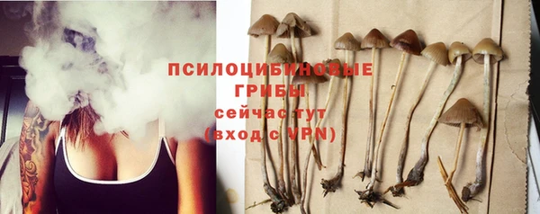 мдпв Богородицк