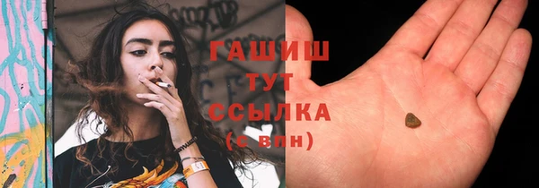 мдпв Богородицк