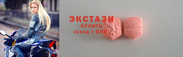 мдпв Богородицк