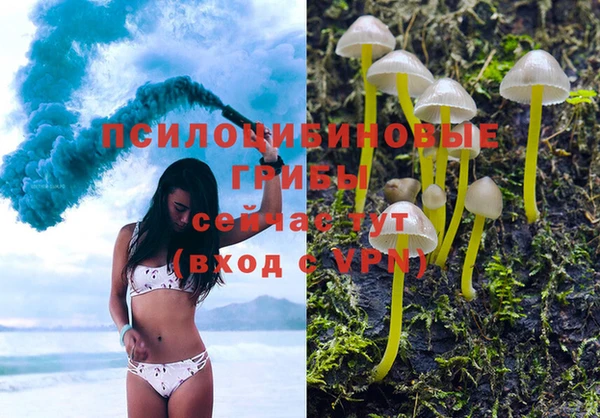 мдпв Богородицк