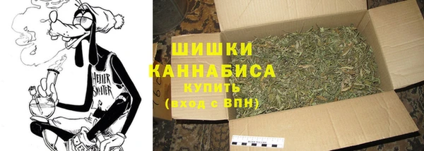 мдпв Богородицк