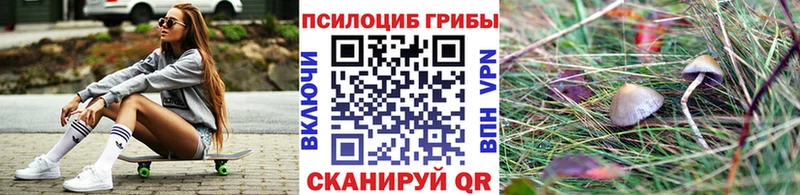 Галлюциногенные грибы прущие грибы  сайты даркнета как зайти  Раменское 