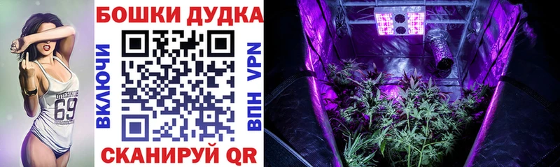 дарнет шоп  Раменское  hydra зеркало  Шишки марихуана план 